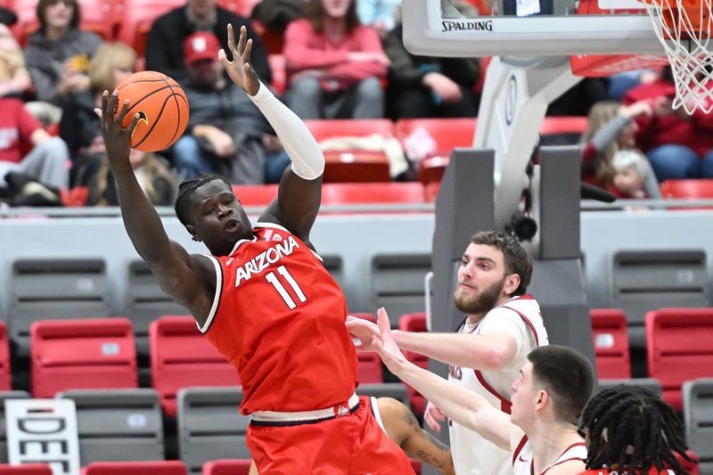 Jan 13, 2024; Pullman, Washington, USA; Arizona Wildcats center Oumar Ballo (11) rebounds the ball against Washington State Cougars forward Oscar Cluff (45) in the first half at Friel Court at Beasley Coliseum. Mandatory Credit: James Snook-USA TODAY Sports