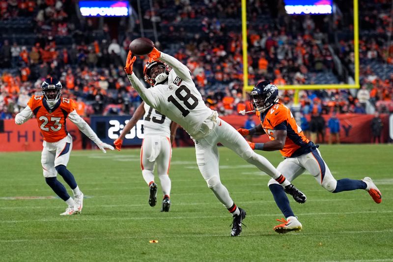 Cleveland Browns wide receiver David Bell (18) is unable to catch a pass during the second half of an NFL football game against the Denver Broncos on Sunday, Nov. 26, 2023, in Denver. (AP Photo/Jack Dempsey)