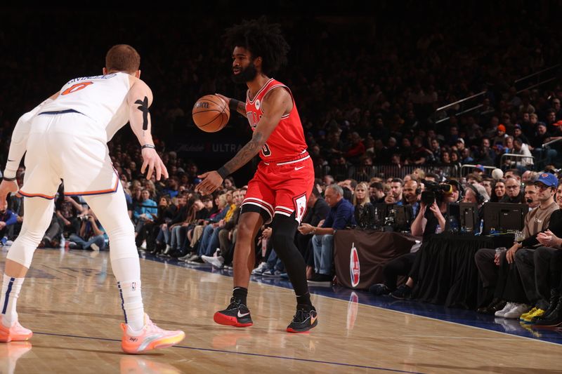 NEW YORK, NY - JANUARY 3: Coby White #0 of the Chicago Bulls dribbles the ball during the game against the New York Knicks on January 3, 2024 at Madison Square Garden in New York City, New York.  NOTE TO USER: User expressly acknowledges and agrees that, by downloading and or using this photograph, User is consenting to the terms and conditions of the Getty Images License Agreement. Mandatory Copyright Notice: Copyright 2024 NBAE  (Photo by Nathaniel S. Butler/NBAE via Getty Images)