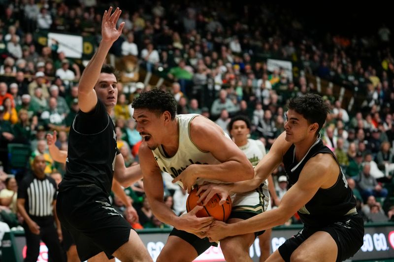 Feb 27, 2024; Fort Collins, Colorado, USA; Colorado State Rams forward Joel Scott (1) struggles to keep the ball with Nevada Wolf Pack defending at Moby Arena. Mandatory Credit: Michael Madrid-USA TODAY Sports