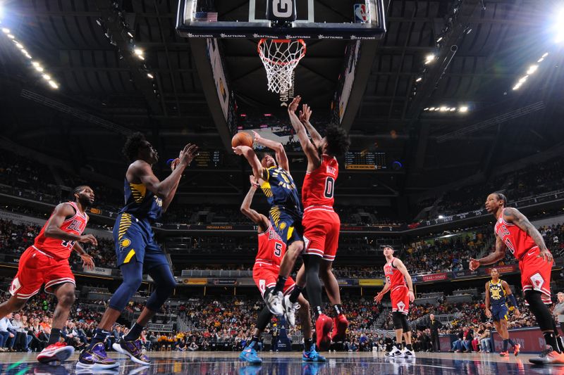 INDIANAPOLIS, IN - JANUARY 24: T.J. McConnell #9 of the Indiana Pacers drives to the basket during the game against the Chicago Bulls on January 24, 2023 at Gainbridge Fieldhouse in Indianapolis, Indiana. NOTE TO USER: User expressly acknowledges and agrees that, by downloading and or using this Photograph, user is consenting to the terms and conditions of the Getty Images License Agreement. Mandatory Copyright Notice: Copyright 2022 NBAE (Photo by Ron Hoskins/NBAE via Getty Images)