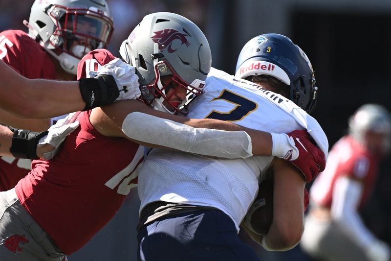 Sep 16, 2023; Pullman, Washington, USA; Washington State Cougars defensive end Ron Stone Jr. (10) sacks Northern Colorado Bears quarterback Jacob Sirmon (3) in the first half at Gesa Field at Martin Stadium. Mandatory Credit: James Snook-USA TODAY Sports