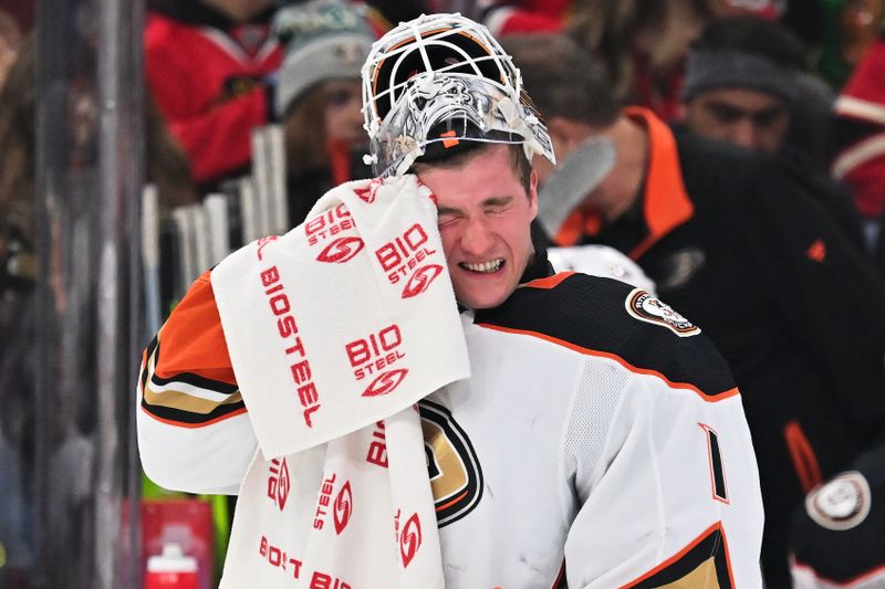 Dec 7, 2023; Chicago, Illinois, USA; Anaheim Ducks goaltender Lukas Dostal (1) wipes his face during a timeout in the first period against the Chicago Blackhawks at United Center. Mandatory Credit: Jamie Sabau-USA TODAY Sports