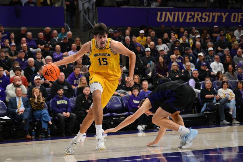 Jan 14, 2026; Seattle, Washington, USA; Michigan Wolverines center Aday Mara (15) spins  around Washington Huskies forward Hannes Steinbach (6) during the second half at Alaska Airlines Arena at Hec Edmundson Pavilion. Mandatory Credit: Steven Bisig-Imagn Images