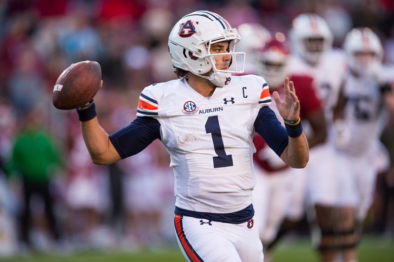 Nov 11, 2023; Fayetteville, Arkansas, USA;  Auburn Tigers quarterback Payton Thorne (1) gets ready to throw a pass during the second quarter against the Arkansas Razorbacks at Donald W. Reynolds Razorback Stadium. Mandatory Credit: Brett Rojo-USA TODAY Sports