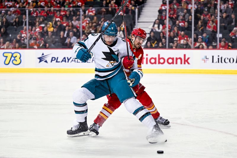 Feb 15, 2024; Calgary, Alberta, CAN; San Jose Sharks defenseman Jacob MacDonald (9) and Calgary Flames defenseman Christopher Tanev (8) compete for the puck during the second period at Scotiabank Saddledome. Mandatory Credit: Brett Holmes-USA TODAY Sports