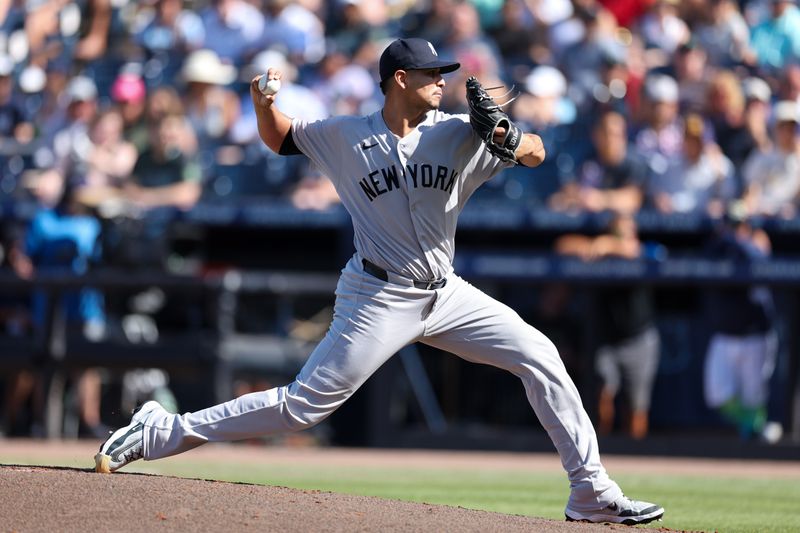 Apr 19, 2025; Tampa, Florida, USA; New York Yankees starting pitcher Carlos Carrasco (59) throws a pitch against the Tampa Bay Rays in the first inning at George M. Steinbrenner Field. Mandatory Credit: Nathan Ray Seebeck-Imagn Images