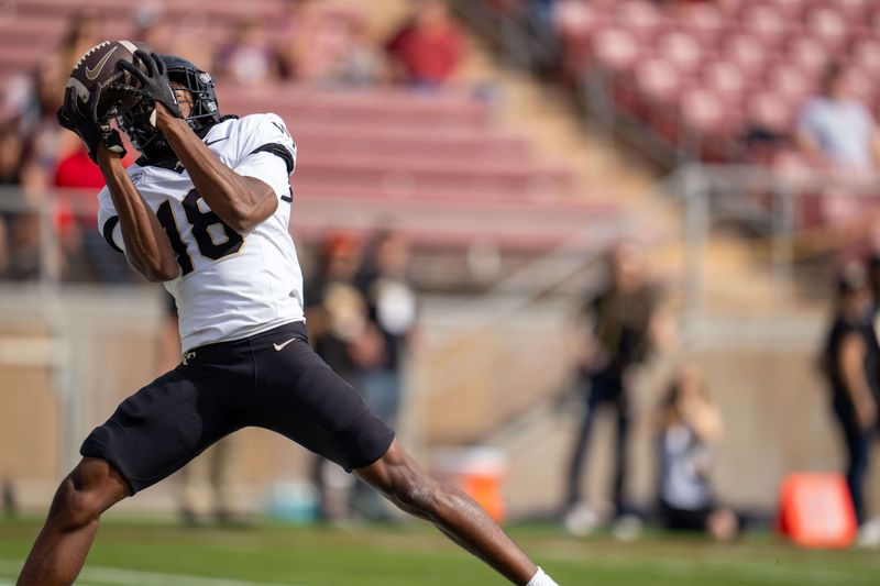 Oct 26, 2024; Stanford, California, USA;  Wake Forest Demon Deacons wide receiver Micah Mays Jr. (18) catches a pass for a touchdown against the Stanford Cardinal during the first quarter at Stanford Stadium. Mandatory Credit: Neville E. Guard-Imagn Images