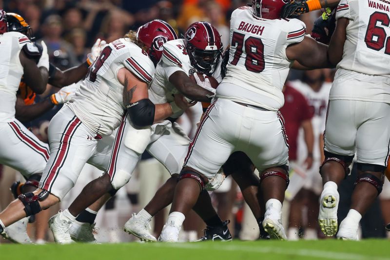 Sep 30, 2023; Knoxville, Tennessee, USA; South Carolina Gamecocks running back Mario Anderson (24) runs the ball against the Tennessee Volunteers during the first half at Neyland Stadium. Mandatory Credit: Randy Sartin-USA TODAY Sports