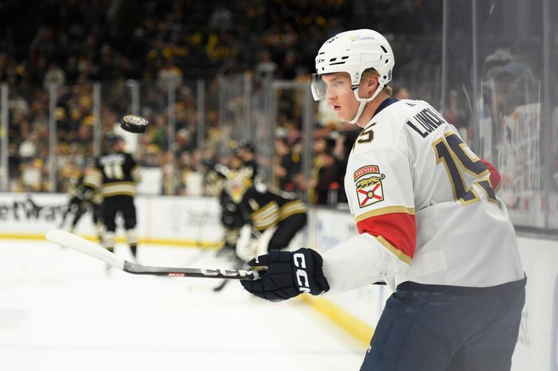 May 12, 2024; Boston, Massachusetts, USA; Florida Panthers center Anton Lundell (15) bounces a puck of the blade of his stick during warmups prior to game four of the second round of the 2024 Stanley Cup Playoffs against the Boston Bruins at TD Garden. Mandatory Credit: Bob DeChiara-USA TODAY Sports