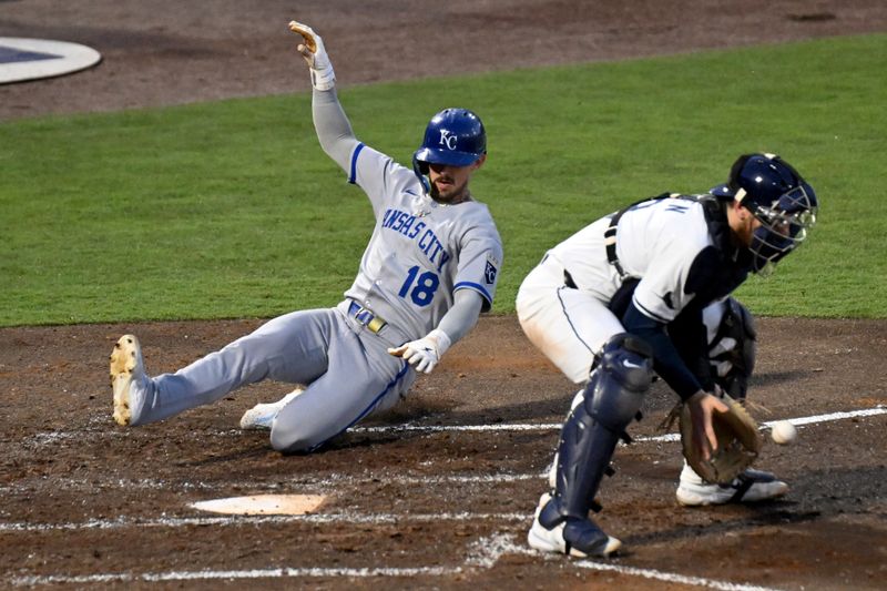 Apr 30, 2025; St. Petersburg, Florida, USA; Kansas City Royals second baseman Cavan Biggio (18) scores a run as Tampa Bay Rays catcher Danny Jansen (19) catches the ball  in the fifth inning at George M. Steinbrenner Field. Mandatory Credit: Jonathan Dyer-Imagn Images