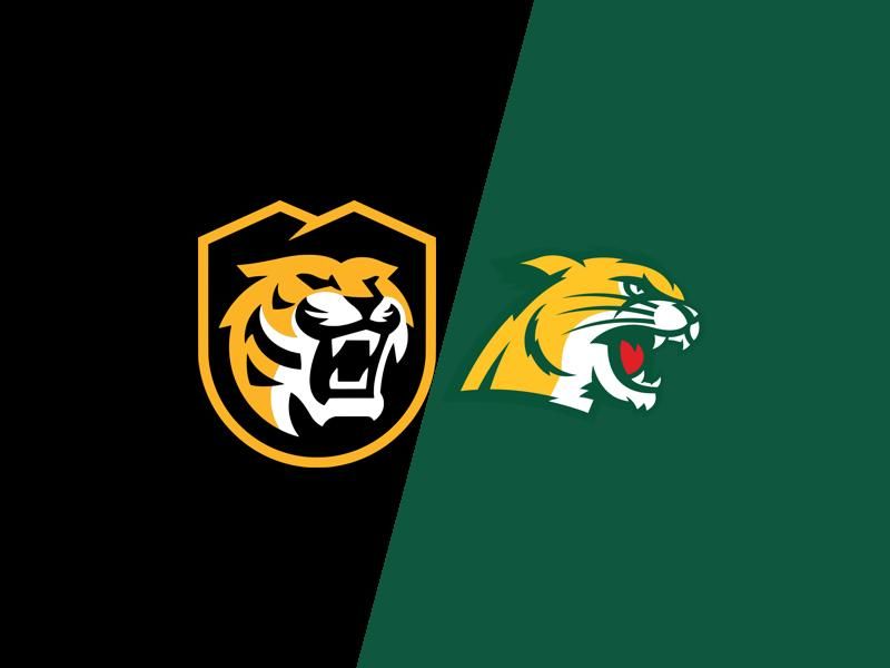 Colorado College Tigers Freeze Out Northern Michigan Wildcats in a Dominant Home Display