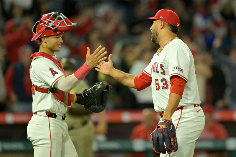 Jun 4, 2024; Anaheim, California, USA;  Los Angeles Angels relief pitcher Carlos Estevez (53) is congratulated by catcher Logan O'Hoppe (14) after earning a save against the San Diego Padres at Angel Stadium. Mandatory Credit: Jayne Kamin-Oncea-USA TODAY Sports