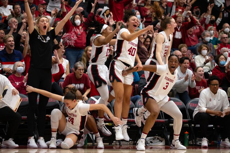 Jan 21, 2024; Stanford, California, USA; The Stanford Cardinal bench reacts to a 3-point basket by their teammate against the Oregon State Beavers during the third quarter at Maples Pavilion. Mandatory Credit: D. Ross Cameron-USA TODAY Sports