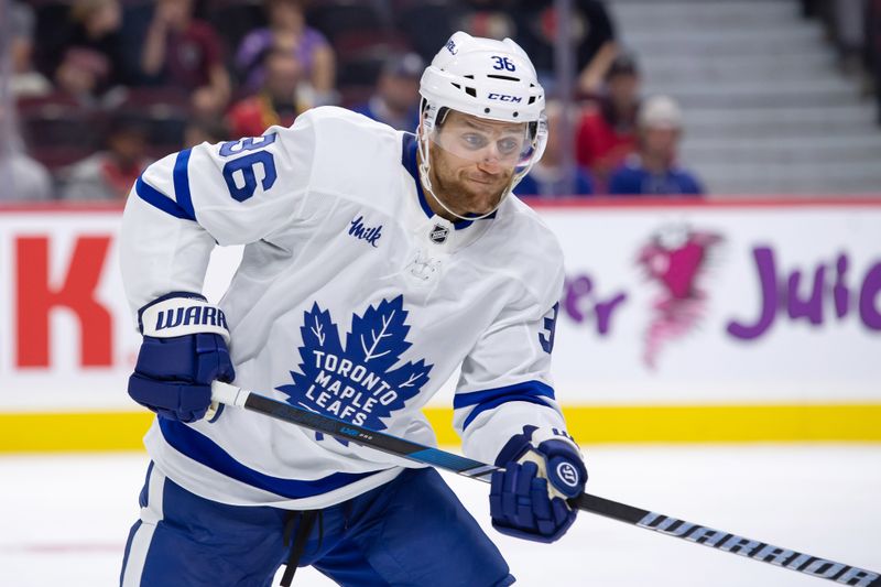 Sep 24, 2024; Ottawa, Ontario, CAN; Toronto Maple Leafs defenseman Dakota Mermis (36) follows the puck in the first period against the Ottawa Senators at the Canadian Tire Centre. Mandatory Credit: Marc DesRosiers-Imagn Images