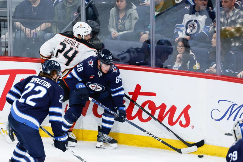 Mar 15, 2024; Winnipeg, Manitoba, CAN; Winnipeg Jets defenseman Nate Schmidt (88) skates away from Anaheim Ducks forward Bo Giroux (24) during the third period at Canada Life Centre. Mandatory Credit: Terrence Lee-USA TODAY Sports