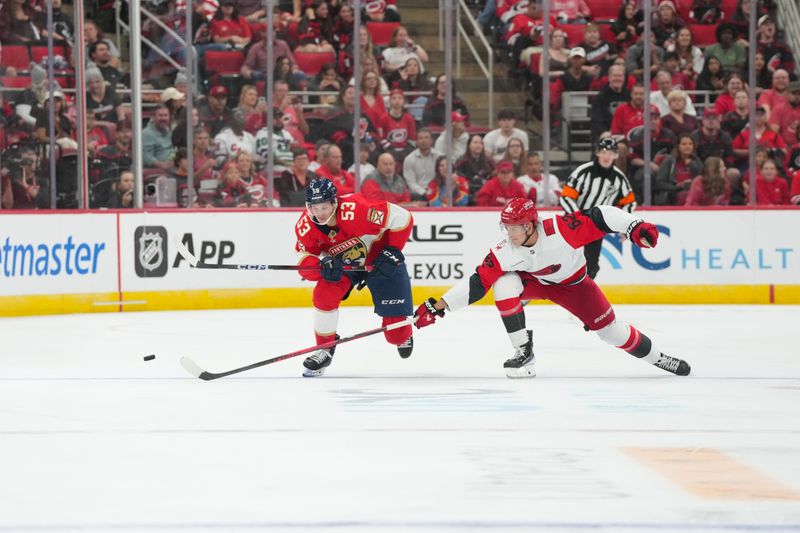 Sep 24, 2025; Raleigh, North Carolina, USA;  Florida Panthers center Jack Studnicka (53) and Carolina Hurricanes center Ryan Suzuki (16) skate after the puck during the second period at Lenovo Center. Mandatory Credit: James Guillory-Imagn Images