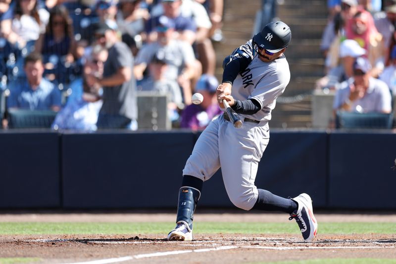 Apr 19, 2025; Tampa, Florida, USA; New York Yankees center fielder Trent Grisham (12) hits a home run against the Tampa Bay Rays in the second inning at George M. Steinbrenner Field. Mandatory Credit: Nathan Ray Seebeck-Imagn Images