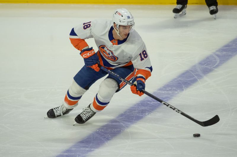 Nov 24 2023; Ottawa, Ontario, CAN; New York Islanders left wing Pierre Engvall (18) skates with the puck in the third period against the Ottawa Senators at the Canadian Tire Centre. Mandatory Credit: Marc DesRosiers-USA TODAY Sports