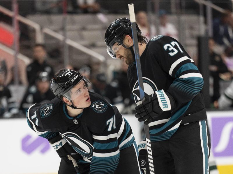 Nov 7, 2024; San Jose, California, USA;  San Jose Sharks defenseman Timothy Liljegren (37) speaks with center Macklin Celebrini (71) during the second period against the Minnesota Wild at SAP Center at San Jose. Mandatory Credit: Stan Szeto-Imagn Images