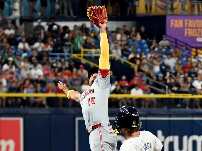 Jul 26, 2024; St. Petersburg, Florida, USA; Cincinnati Reds third baseman Noelvi Marte (16) jumps to catch a fly ball in the fourth inning against the Tampa Bay Rays at Tropicana Field. Mandatory Credit: Jonathan Dyer-USA TODAY Sports