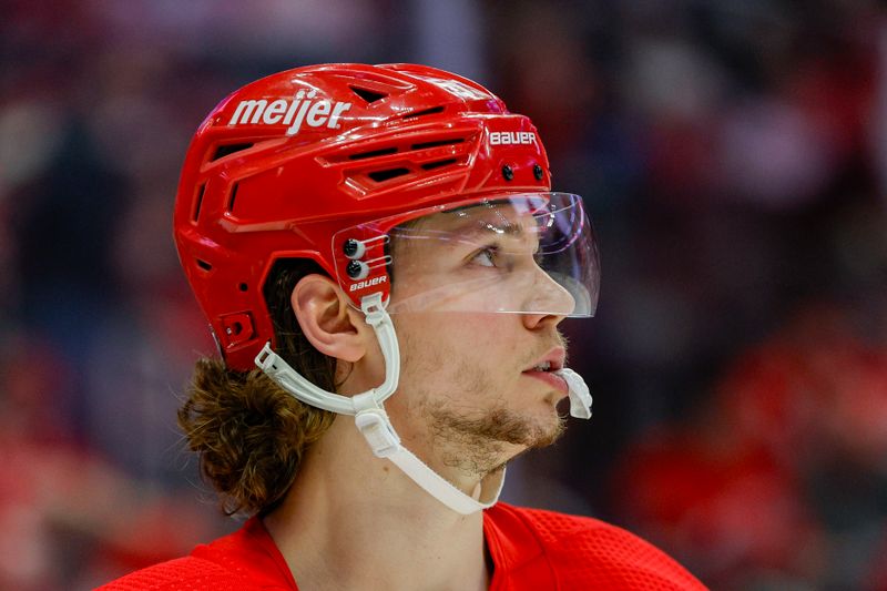 Mar 19, 2024; Detroit, Michigan, USA; Detroit Red Wings defenseman Moritz Seider (53) looks on during the third period at Little Caesars Arena. Mandatory Credit: Brian Bradshaw Sevald-USA TODAY Sports