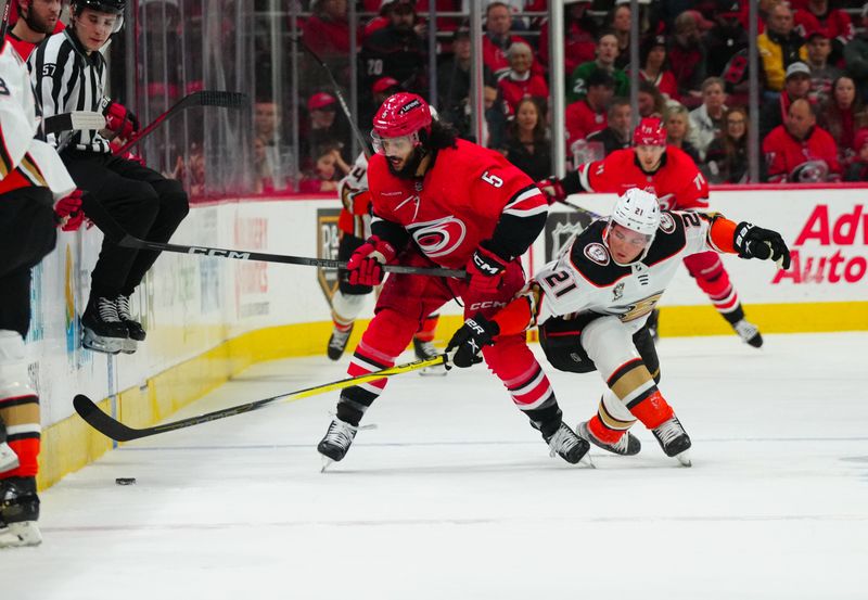 Jan 11, 2024; Raleigh, North Carolina, USA; Carolina Hurricanes defenseman Jalen Chatfield (5) tries to control the puck against Anaheim Ducks center Isac Lundestrom (21) during the first period at PNC Arena. Mandatory Credit: James Guillory-USA TODAY Sports