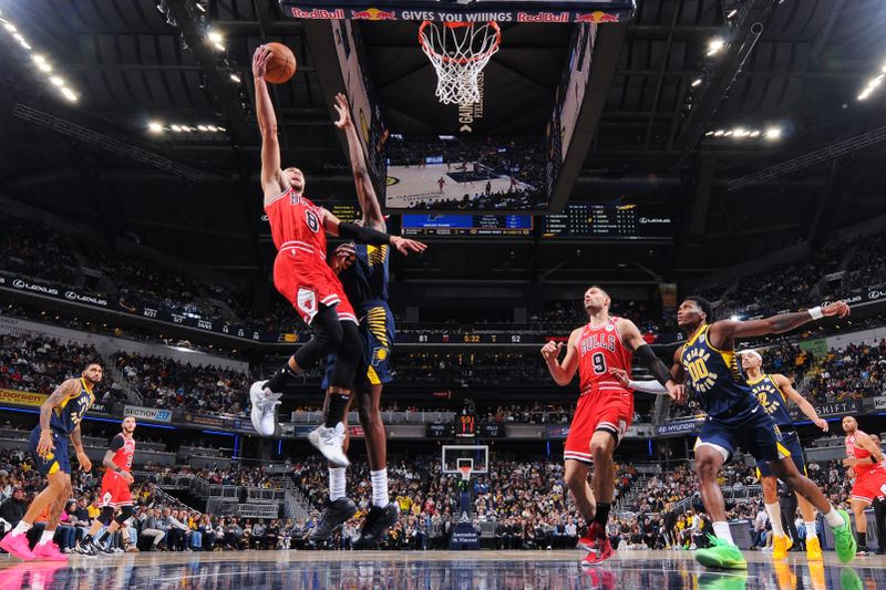 INDIANAPOLIS, IN - JANUARY 8: Zach LaVine #8 of the Chicago Bulls drives to the basket during the game against the Indiana Pacers on January 8, 2025 at Gainbridge Fieldhouse in Indianapolis, Indiana. NOTE TO USER: User expressly acknowledges and agrees that, by downloading and or using this Photograph, user is consenting to the terms and conditions of the Getty Images License Agreement. Mandatory Copyright Notice: Copyright 2025 NBAE (Photo by Ron Hoskins/NBAE via Getty Images)