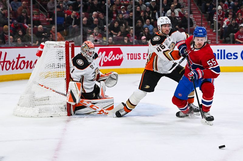 Feb 13, 2024; Montreal, Quebec, CAN; Montreal Canadiens left wing Michael Pezzetta (55) plays the puck against Anaheim Ducks defenseman Ilya Lyubushkin (46) near Anaheim Ducks goalie Lukas Dostal (1) during the second period at Bell Centre. Mandatory Credit: David Kirouac-USA TODAY Sports