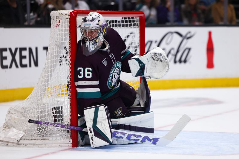 Mar 19, 2024; Anaheim, California, USA; Anaheim Ducks goaltender John Gibson (36) looks on during the first period of a game against the Minnesota Wild at Honda Center. Mandatory Credit: Jessica Alcheh-USA TODAY Sports