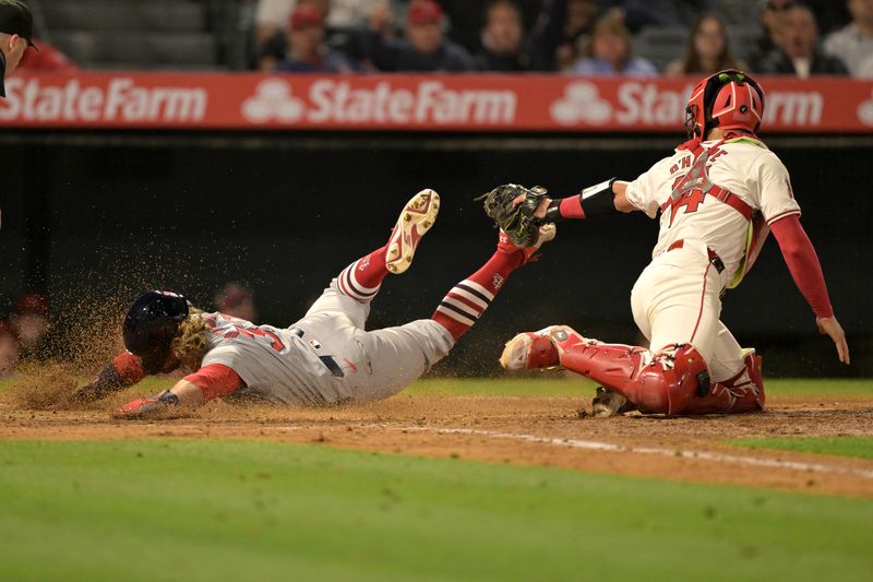 May 13, 2024; Anaheim, California, USA;   St. St. Louis Cardinals left fielder Brendan Donovan (33) beats the tag by Los Angeles Angels catcher Logan O'Hoppe (14) for a run in the seventh inning at Angel Stadium. Mandatory Credit: Jayne Kamin-Oncea-USA TODAY Sports