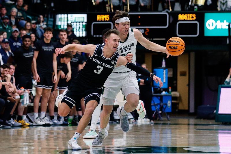 Feb 4, 2023; Fort Collins, Colorado, USA; Utah State Aggies guard Steven Ashworth (3) knocks the ball away from Colorado State Rams guard Joe Palmer (20) in the second half at Moby Arena. Mandatory Credit: Isaiah J. Downing-USA TODAY Sports