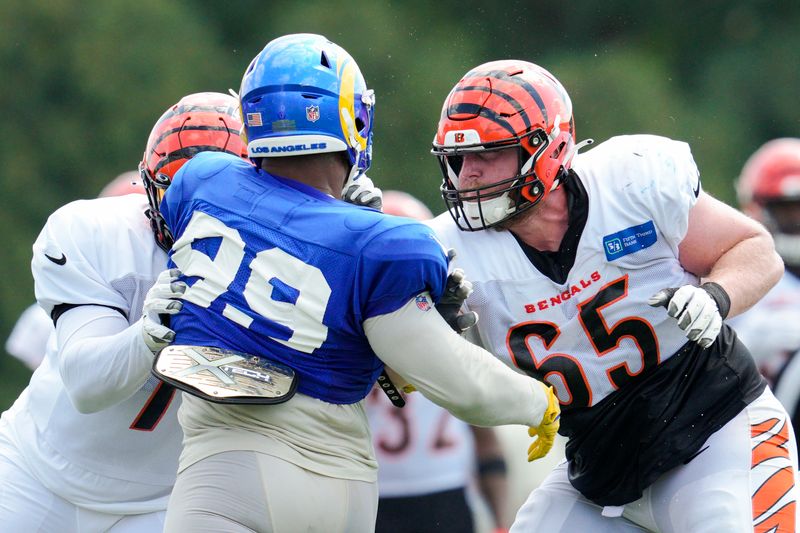 Cincinnati Bengals guard Alex Cappa (65) and offensive tackle La'el Collins, left, block Los Angeles Rams defensive tackle Aaron Donald (99) during a drill at the team's NFL football training facility, Wednesday, Aug. 24, 2022, in Cincinnati. (AP Photo/Jeff Dean)