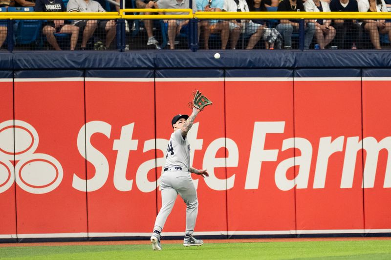 May 11, 2024; St. Petersburg, Florida, USA; New York Yankees outfielder Alex Verdugo (24) makes a catch for an out against the Tampa Bay Rays during the first inning at Tropicana Field. Mandatory Credit: Matt Pendleton-USA TODAY Sports