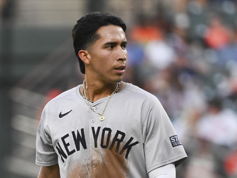 May 1, 2024; Baltimore, Maryland, USA; New York Yankees third baseman Oswaldo Cabrera (95) walks across the field after the third inning against the Baltimore Orioles  at Oriole Park at Camden Yards. Mandatory Credit: Tommy Gilligan-USA TODAY Sports