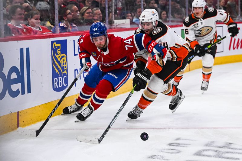 Feb 13, 2024; Montreal, Quebec, CAN; Montreal Canadiens center Brandon Gignac (74) plays the puck against Anaheim Ducks center Adam Henrique (14) during the third period at Bell Centre. Mandatory Credit: David Kirouac-USA TODAY Sports