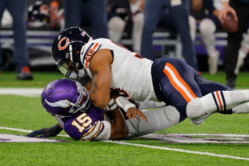 Minnesota Vikings quarterback Joshua Dobbs (15) is sacked by Chicago Bears defensive end Montez Sweat (98) during the first half of an NFL football game, Monday, Nov. 27, 2023, in Minneapolis. (AP Photo/Bruce Kluckhohn)