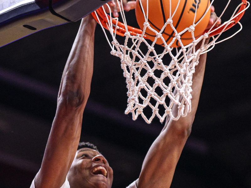 Feb 1, 2025; Piscataway, New Jersey, USA; Rutgers Scarlet Knights guard Ace Bailey (4) dunks the ball during the second half against the Michigan Wolverines at Jersey Mike's Arena. Mandatory Credit: Vincent Carchietta-Imagn Images