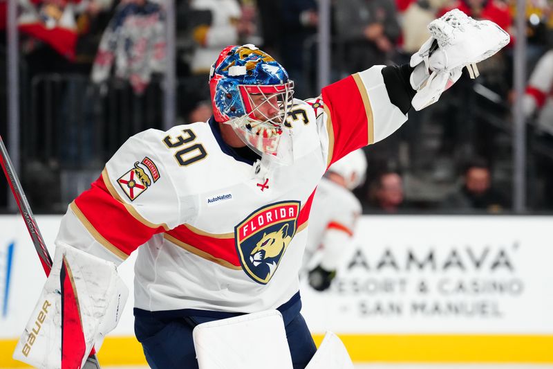 Jan 26, 2025; Las Vegas, Nevada, USA; Florida Panthers goaltender Spencer Knight (30) warms up before a game against the Vegas Golden Knights at T-Mobile Arena. Mandatory Credit: Stephen R. Sylvanie-Imagn Images