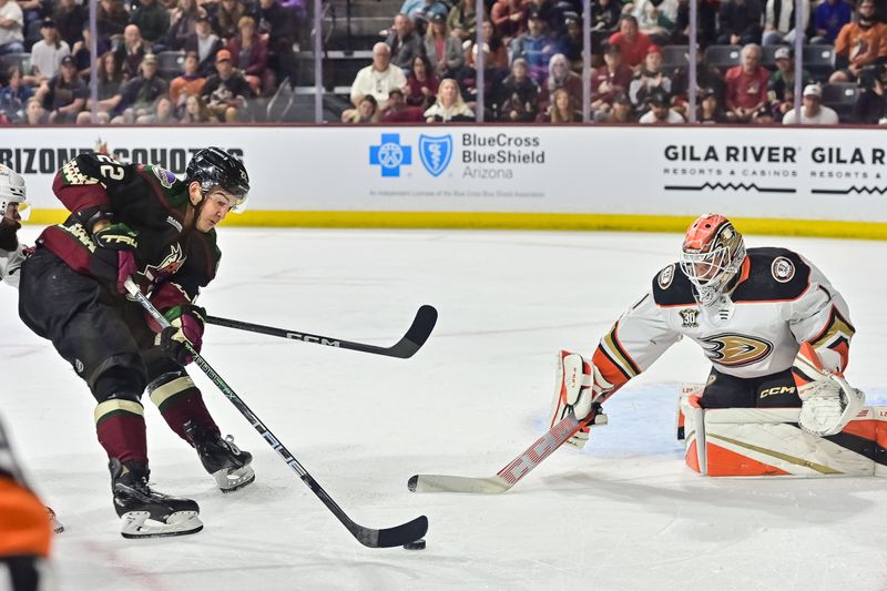 Oct 21, 2023; Tempe, Arizona, USA;  Arizona Coyotes center Jack McBain (22) carries the puck as Anaheim Ducks goaltender Lukas Dostal (1) tends the net in the second period at Mullett Arena. Mandatory Credit: Matt Kartozian-USA TODAY Sports