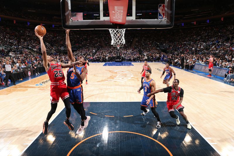 NEW YORK, NY - APRIL 14:  Dalen Terry #25 of the Chicago Bulls shoots the ball during the game against the New York Knicks on April 14, 2024 at Madison Square Garden in New York City, New York.  NOTE TO USER: User expressly acknowledges and agrees that, by downloading and or using this photograph, User is consenting to the terms and conditions of the Getty Images License Agreement. Mandatory Copyright Notice: Copyright 2024 NBAE  (Photo by Nathaniel S. Butler/NBAE via Getty Images)