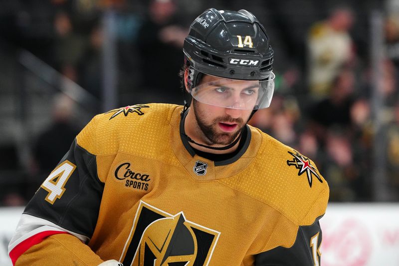 Mar 19, 2024; Las Vegas, Nevada, USA; Vegas Golden Knights defenseman Nicolas Hague (14) warms up before the start of a game against the Tampa Bay Lighting at T-Mobile Arena. Mandatory Credit: Stephen R. Sylvanie-USA TODAY Sports