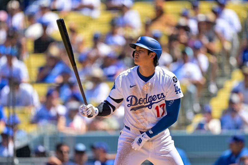 Aug 31, 2025; Los Angeles, California, USA; Los Angeles Dodgers designated hitter Shohei Ohtani (17) at bat during the second inning at Dodger Stadium. Mandatory Credit: Jayne Kamin-Oncea-Imagn Images