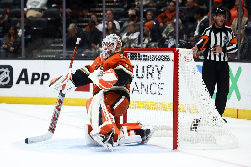 Nov 8, 2024; Anaheim, California, USA; Anaheim Ducks goaltender Lukas Dostal (1) looks on after a goal by Minnesota Wild center Marco Rossi (23) during the third period of a hockey game at Honda Center. Mandatory Credit: Jessica Alcheh-Imagn Images