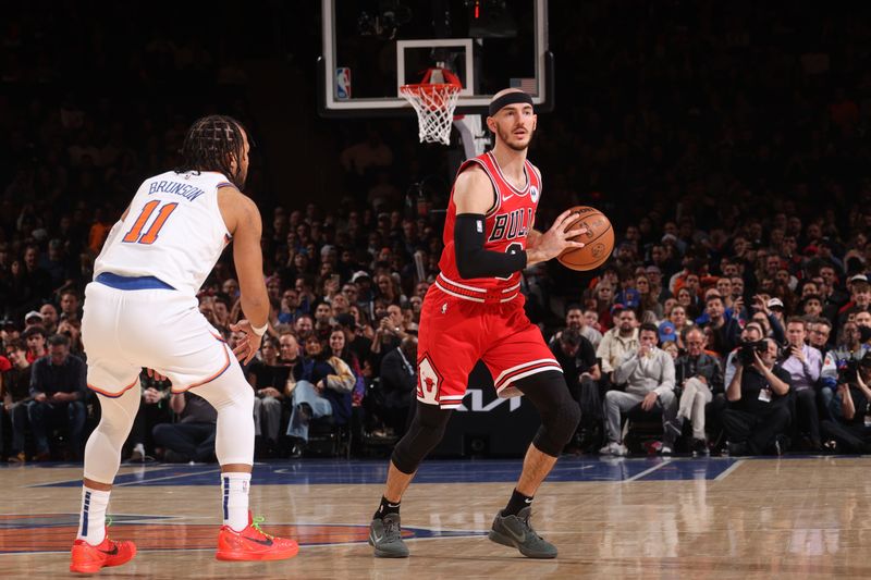 NEW YORK, NY - JANUARY 3: Alex Caruso #6 of the Chicago Bulls looks to pass the ball during the game against the New York Knicks on January 3, 2024 at Madison Square Garden in New York City, New York.  NOTE TO USER: User expressly acknowledges and agrees that, by downloading and or using this photograph, User is consenting to the terms and conditions of the Getty Images License Agreement. Mandatory Copyright Notice: Copyright 2024 NBAE  (Photo by Nathaniel S. Butler/NBAE via Getty Images)