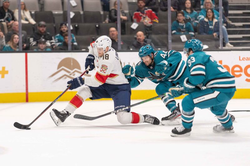 Nov 14, 2023; San Jose, California, USA; Florida Panthers center Steven Lorentz (18) attempts to score during the first period against San Jose Sharks defenseman Marc-Edouard Vlasic (44) and defenseman Calen Addison (33) at SAP Center at San Jose. Mandatory Credit: Stan Szeto-USA TODAY Sports