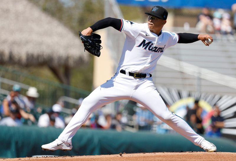 Feb 25, 2024; Jupiter, Florida, USA; Miami Marlins starting pitcher Jesus Luzzardo throws in the first inning against the Washington Nationals at Roger Dean Chevrolet Stadium. Mandatory Credit: Rhona Wise-USA TODAY Sports