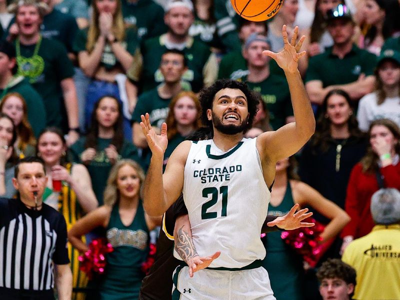 Feb 14, 2026; Fort Collins, Colorado, USA; Colorado State Rams guard Rashaan Mbemba (21) is fouled by Wyoming Cowboys forward Kiani Saxon (8) in the first half at Moby Arena. Mandatory Credit: Isaiah J. Downing-Imagn Images
