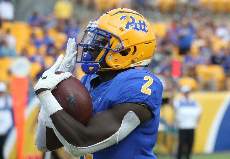 Sep 4, 2021; Pittsburgh, Pennsylvania, USA;  Pittsburgh Panthers running back Israel Abanikanda (2) reacts after scoring a touchdown against the Massachusetts Minutemen during the third quarter at Heinz Field. Pittsburgh won 51-7. Mandatory Credit: Charles LeClaire-USA TODAY Sports