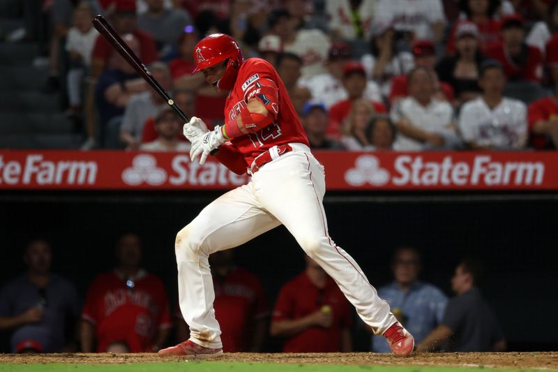 Aug 22, 2023; Anaheim, California, USA; Los Angeles Angels catcher Logan O'Hoppe (14) reacts after taking a hit by pitch during the ninth inning against the Cincinnati Reds at Angel Stadium. Mandatory Credit: Kiyoshi Mio-USA TODAY Sports